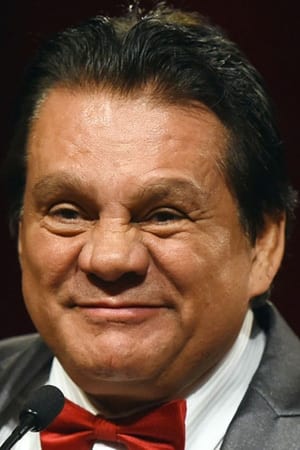 پوستر